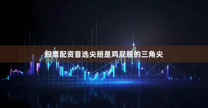 股票配资首选尖翅是鸡屁股的三角尖